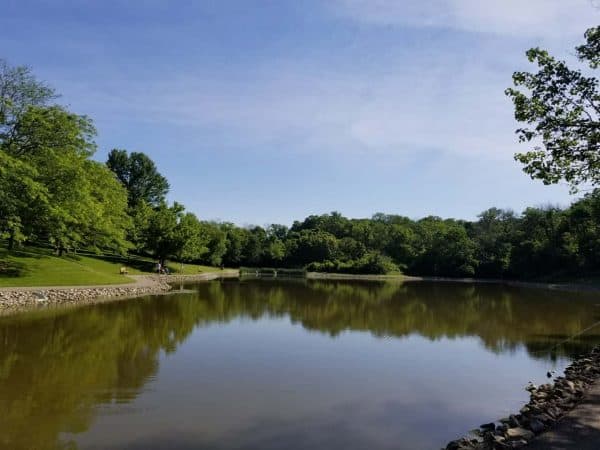 Mitchell Memorial Forest Lake