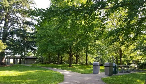 Picnic Grove at Mitchell Memorial Forest