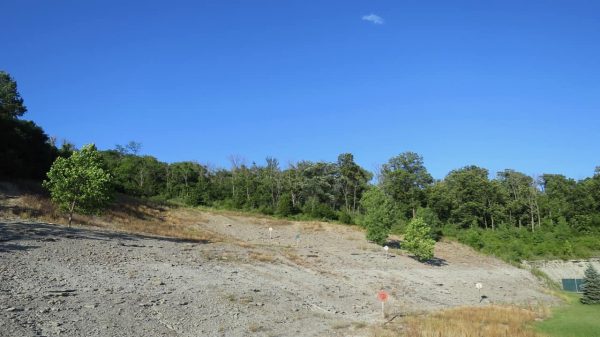 Trammel Fossil Park in Sharonville