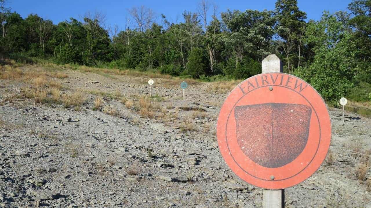 Educational Markers on the Hillside at Trammel Fossil Park