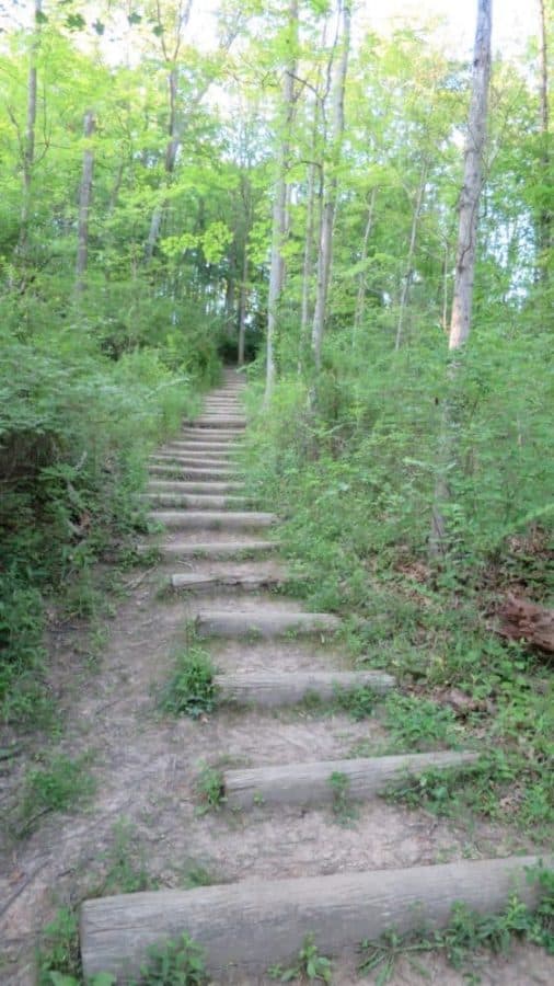 steps on the trail at Keehner Park