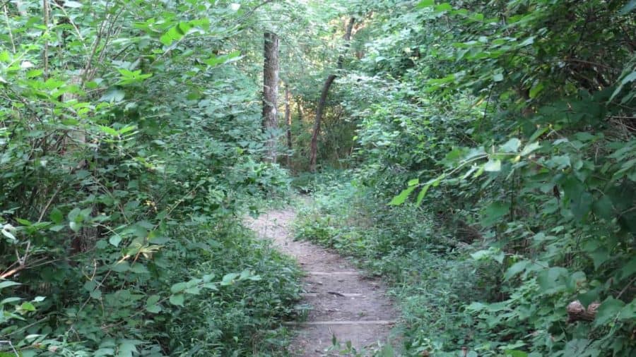 trail at Keehner Park
