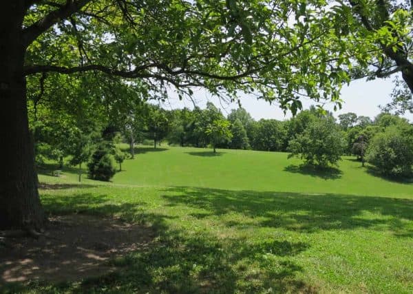 Hills at Mt. Storm Park in Clifton Ohio