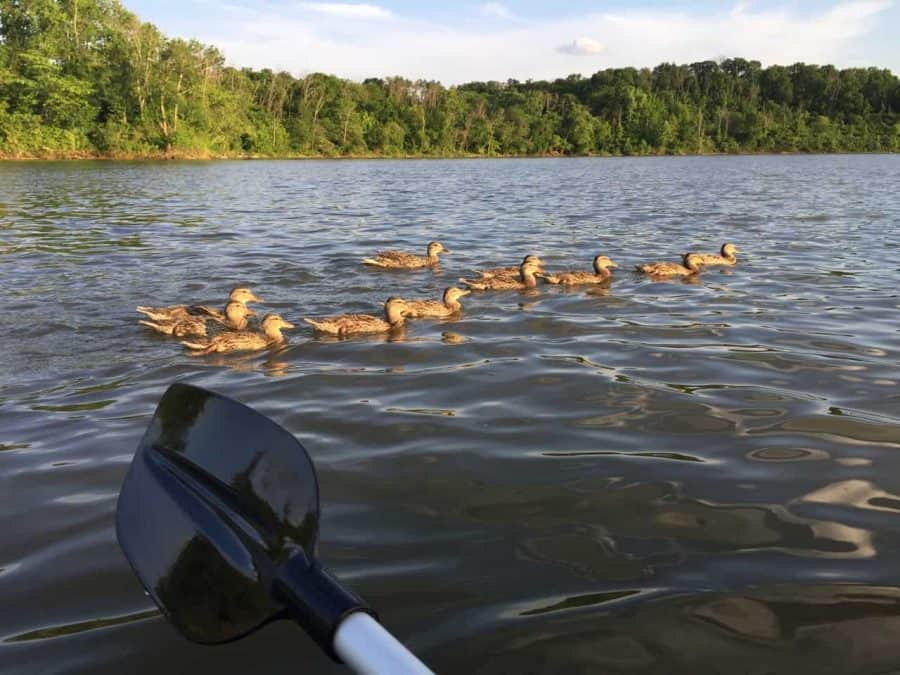 Winton Woods Lake