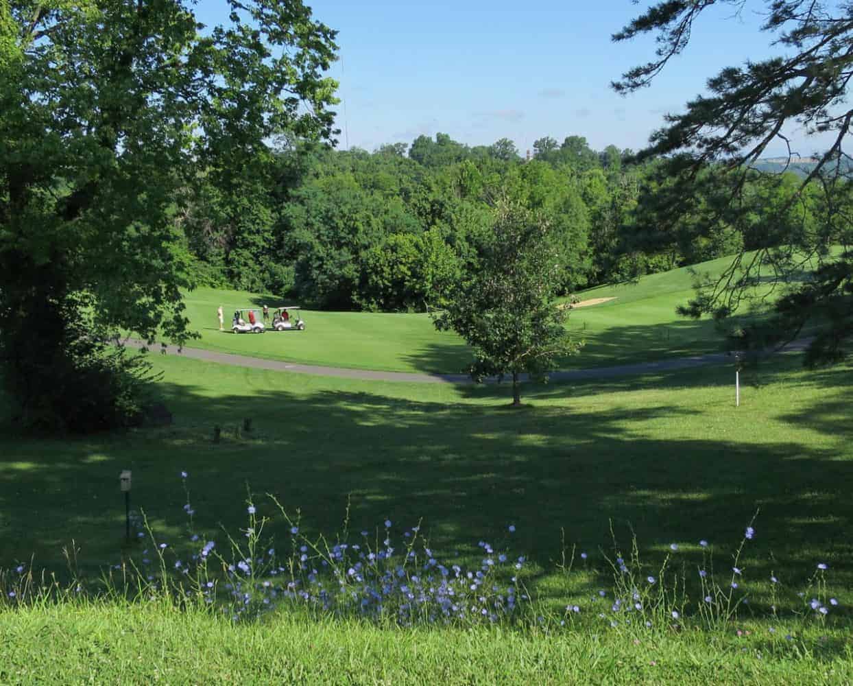 golfing at Devou Park