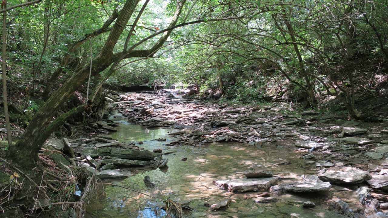 Rentschler Forest Preserve - MetroParks of Butler County