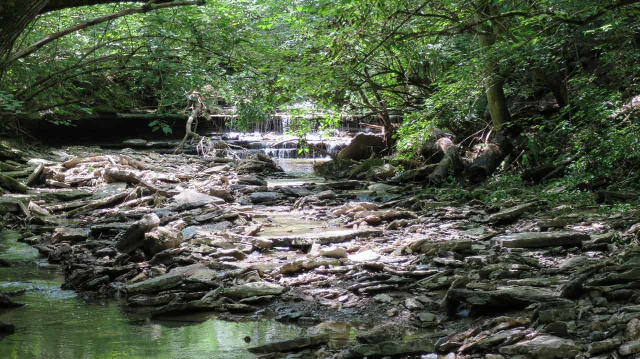 Rentschler Forest Preserve - MetroParks of Butler County