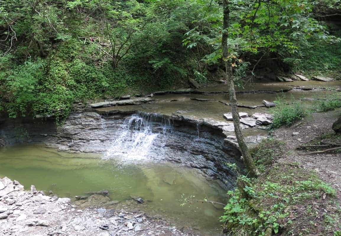 Rentschler Forest Preserve - MetroParks of Butler County