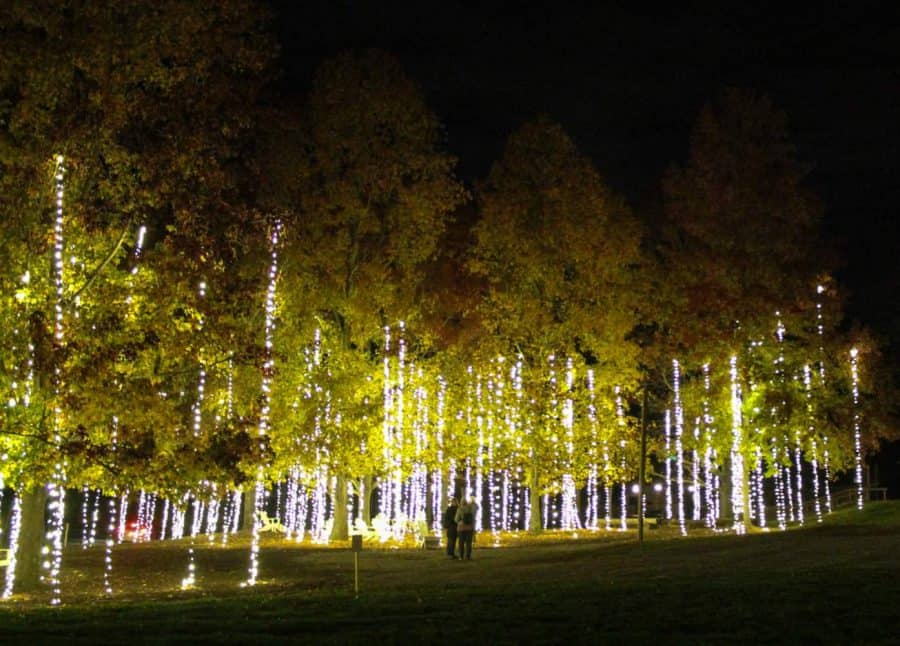 Cascading Lights at Antler Hill Village