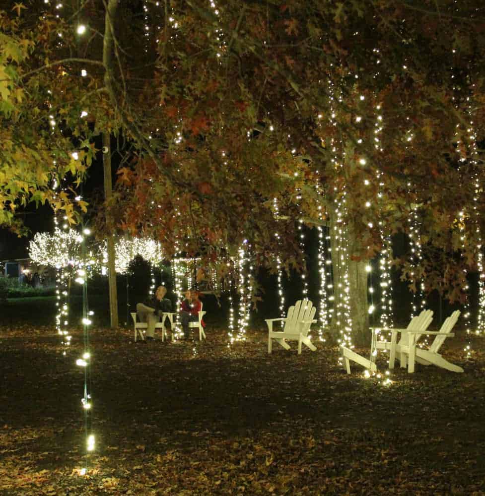 Cascading Lights at Biltmore Estate