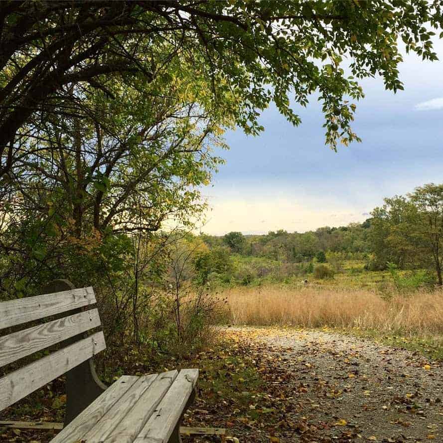 Park bench along the hiking trail at Glenwood Gardens