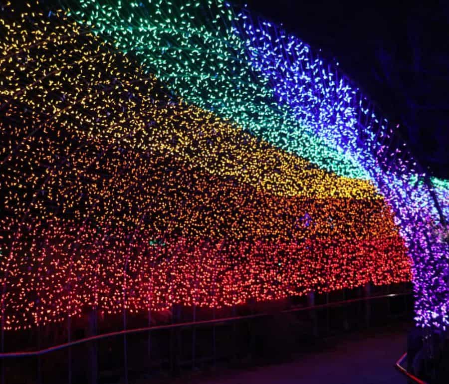Christmas lights at Festival of Lights
