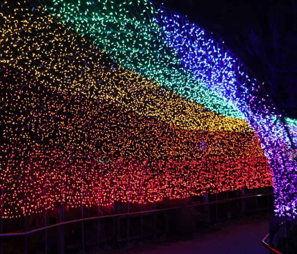 Lights at the Cincinnati Zoo Festival of Lights