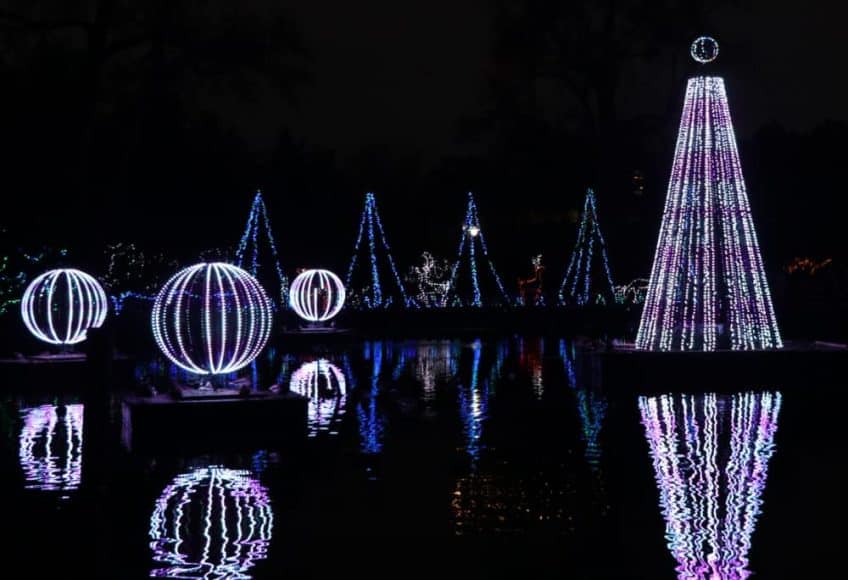 5 Reasons Why the Cincinnati Zoo Festival of Lights is the Perfect