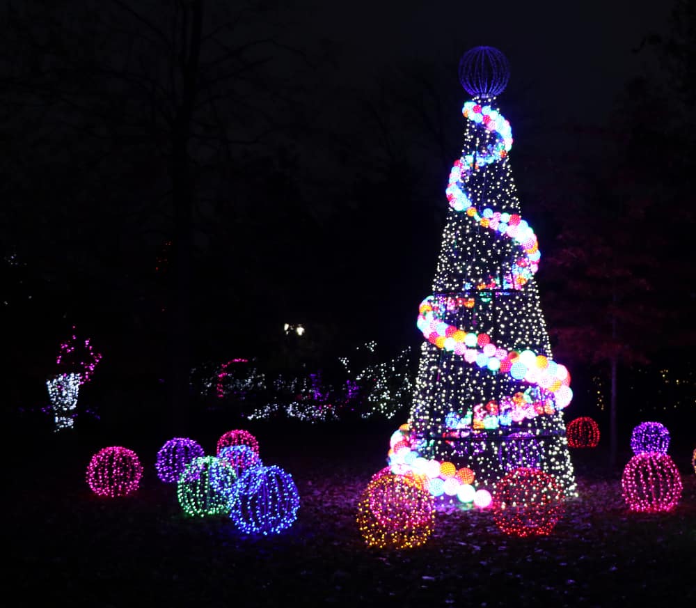 Christmas Tree at the Cincinnati Zoo Festival of Lights