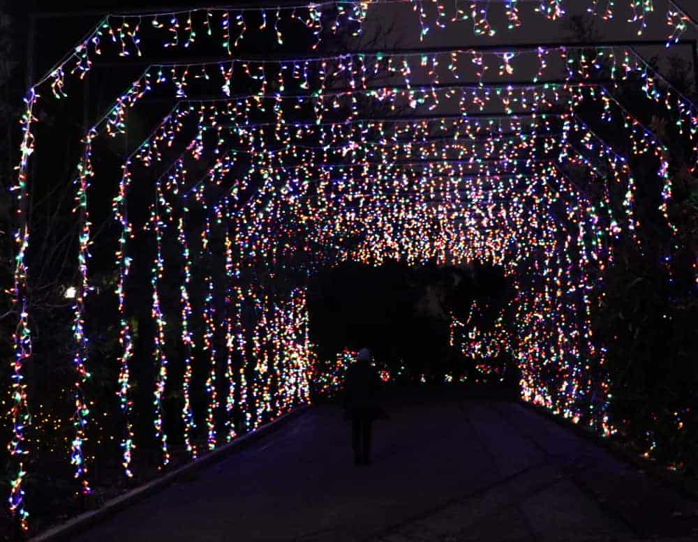 Tunnel of lights at the Cincinnati Zoo Festival of Lights