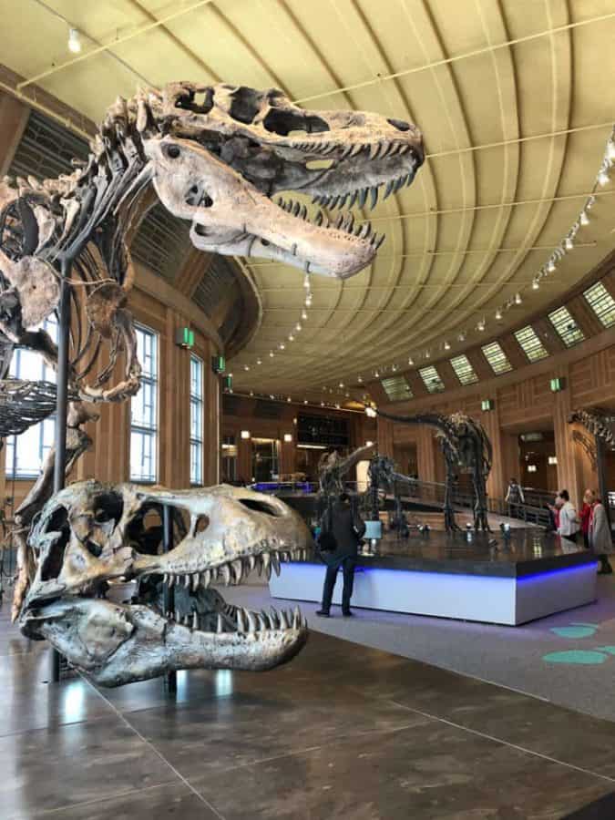 View of the Dinosaur Hall at Cincinnati Museum Center