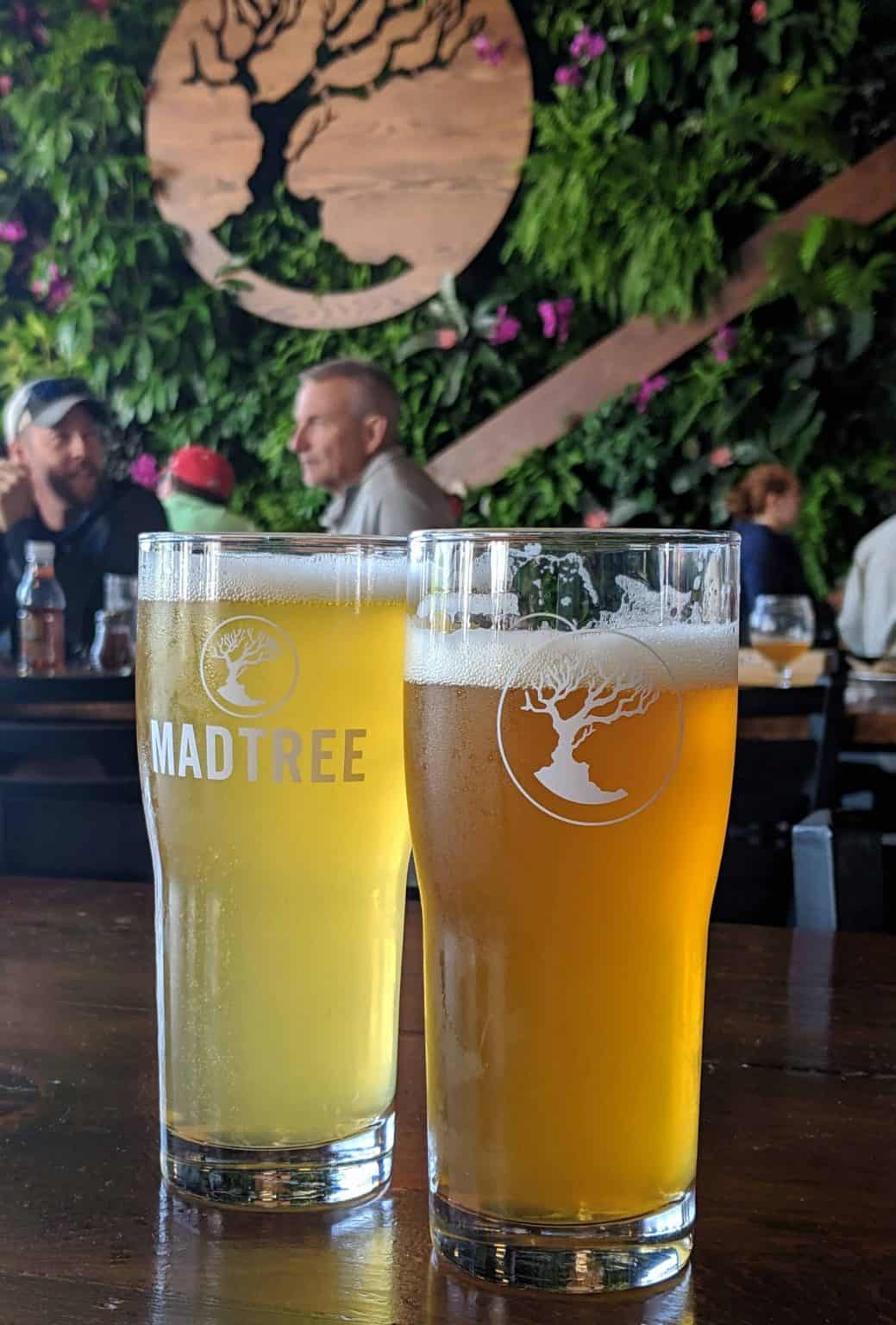 MadTree Brewing Breweries in Cincinnati, Week 16 · 365 CINCINNATI