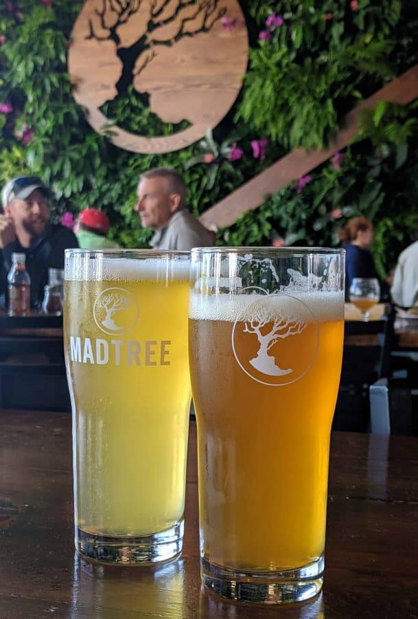 beers at madtree brewing