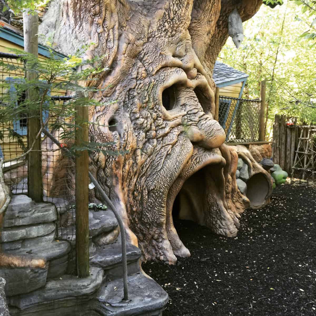 A large tree structure on the playground at HIghfield Discovery Garden