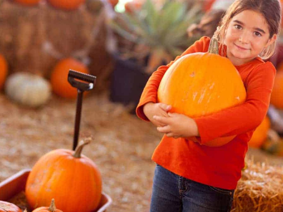 Pumpkin Patches – 15+ Farms for Fall Fun in Cincinnati {2022}