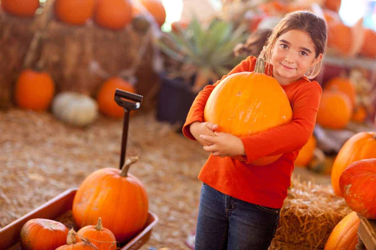 girl with pumpkin at the pumpkin patch