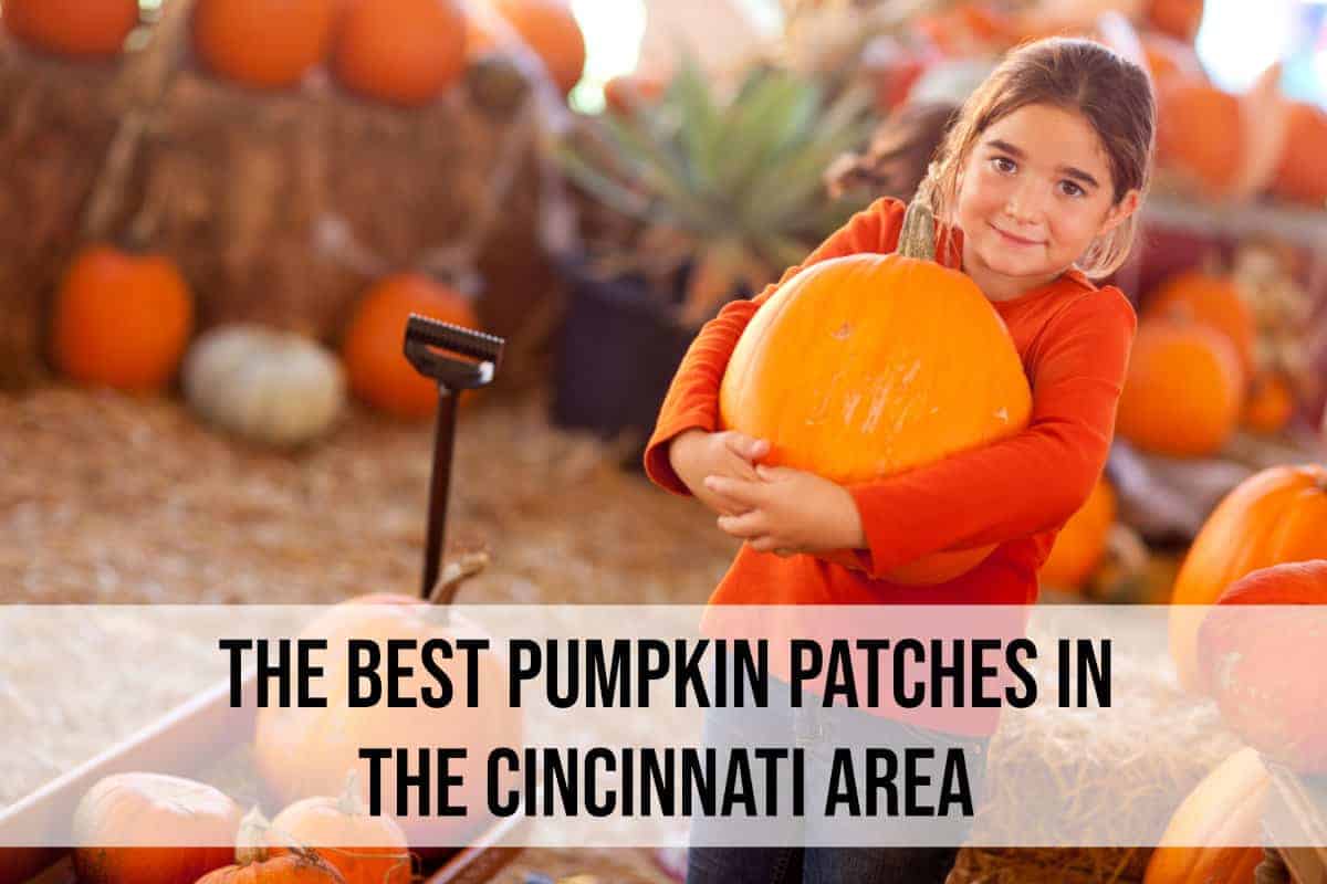 girl carrying a pumpkin in a pumpkin patch