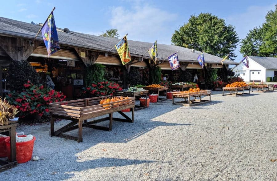 Farm Market at Shaw Farms