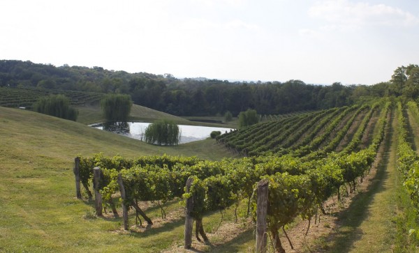 Vinoklet Winery
