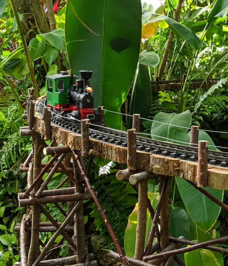 The Black Forest trains at Zinzinnati Christmas