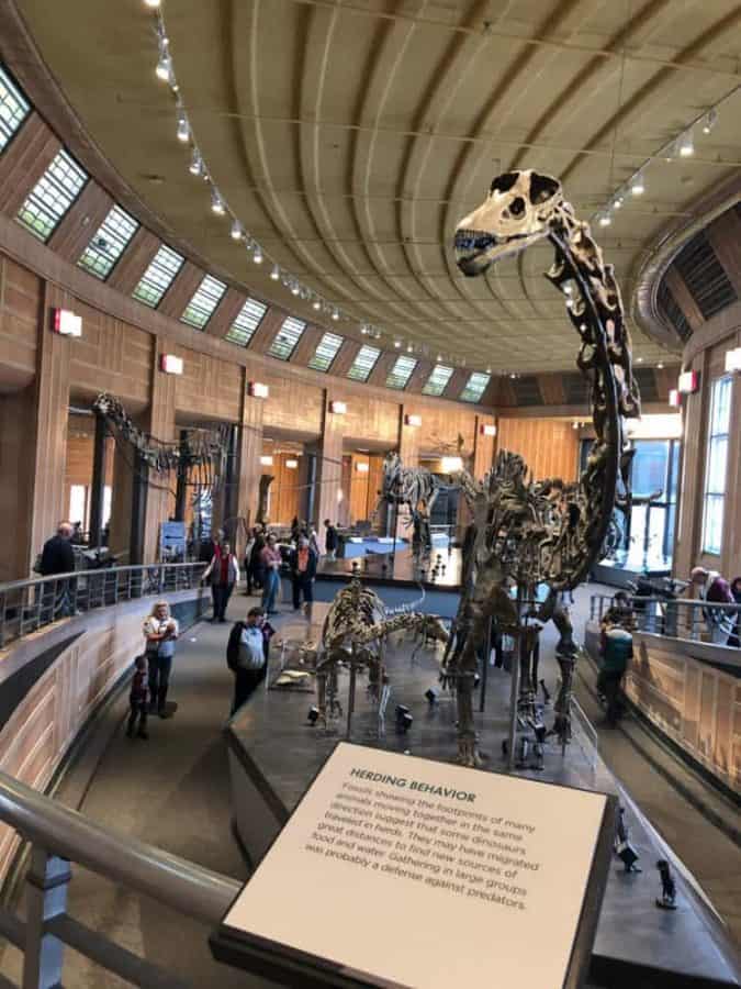 Dinosaur Hall at Cincinnati Museum Center