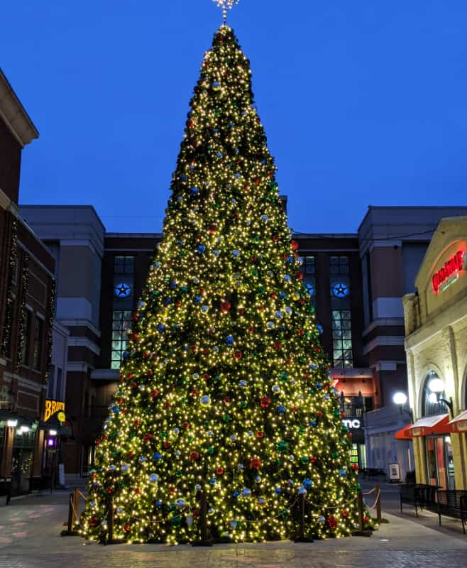 The Christmas tree at Newport on the Levee