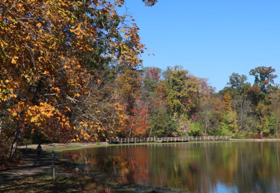 sharon woods halloween 2020 My Favorite Park For Fall Splendor Sharon Woods 365 Cincinnati sharon woods halloween 2020