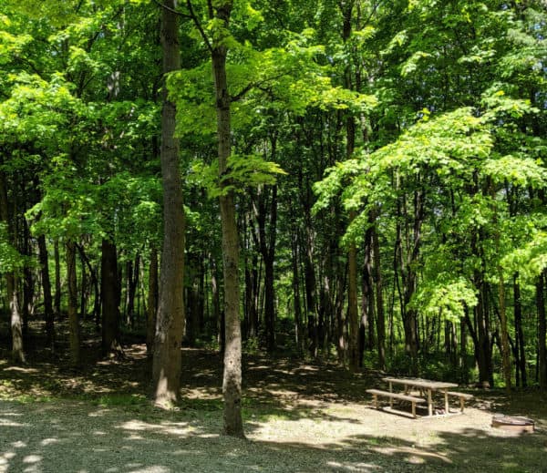 16 of the Best Campgrounds Within 100 Miles of Cincinnati, Ohio