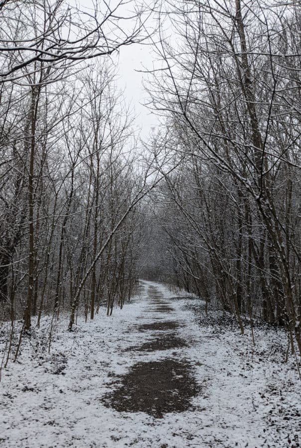 Kingfisher Trail in the snow