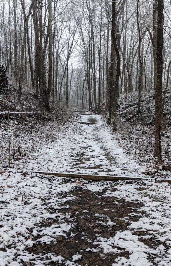 Some of the uphill portion of Kingfisher Trail at Winton Woods