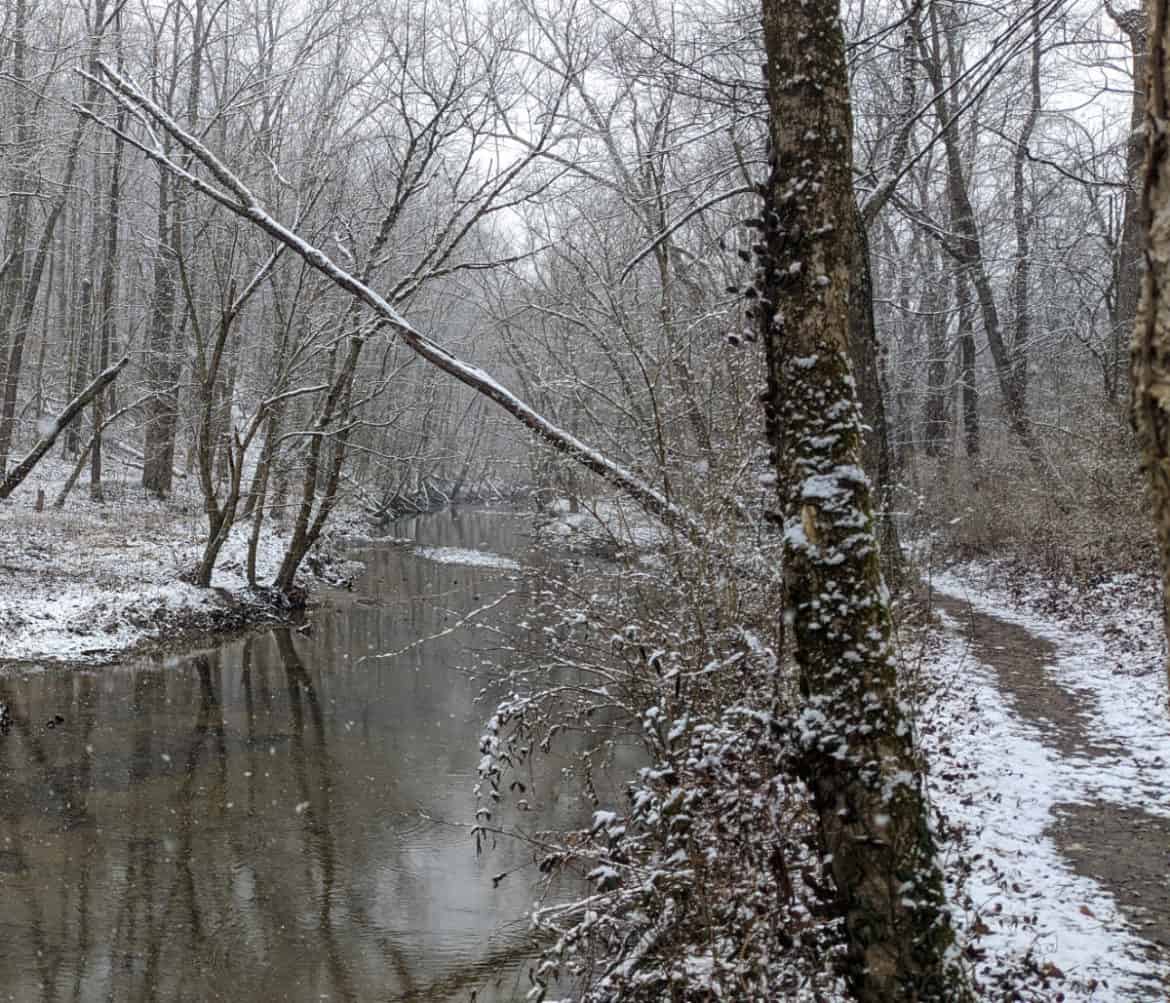 My Favorite Park for Winter Hiking - Winton Woods &middot; 365 CINCINNATI