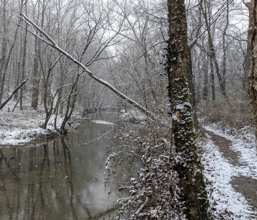 Walking the trail along the stream in the snow