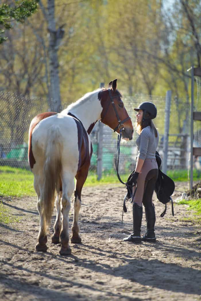 Horseback riding in Cincinnati, Ohio