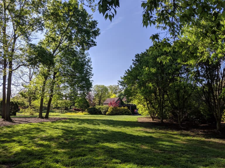 One of My Favorite Parks in the Spring - Glenwood Gardens