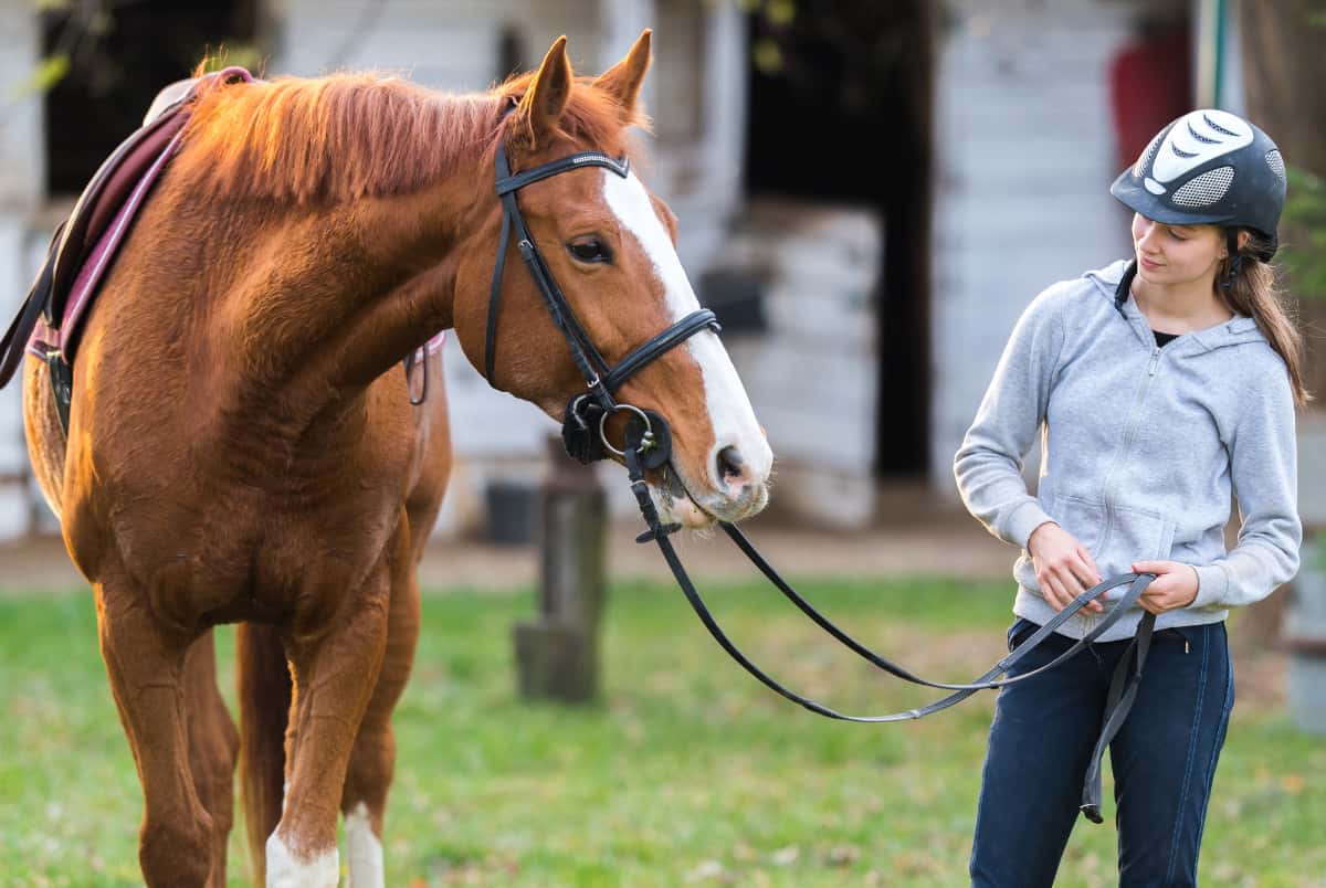 horseback riding in Cincinnati