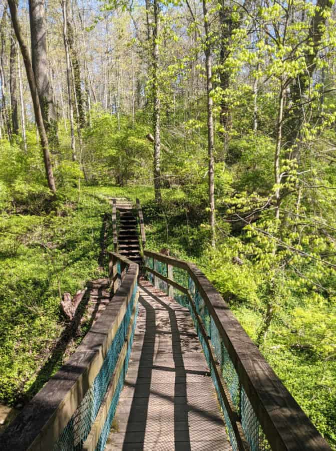 Bridge on the trails