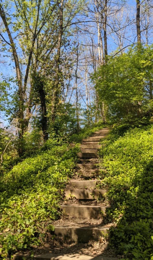 steps on the trail at Caldwell Nature Preserve