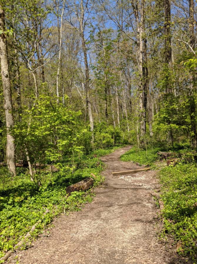 mulched trail at Caldwell Nature Preserve