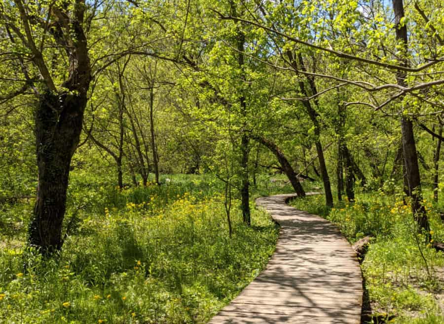 The boardwalk at Kingfisher Trail in Winton Woods