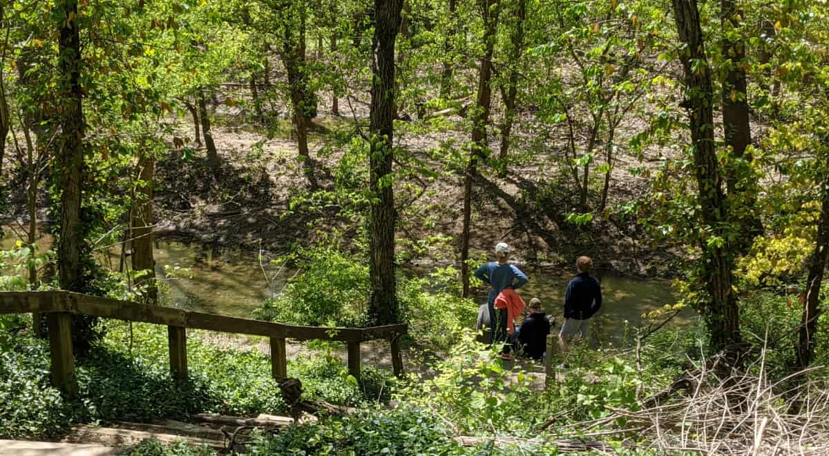 Enjoy a hike along the creek at Winton Woods' Kingfisher Trail