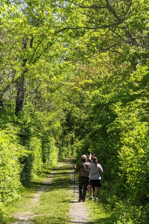 Bird Watching at Gilmore MetroPark