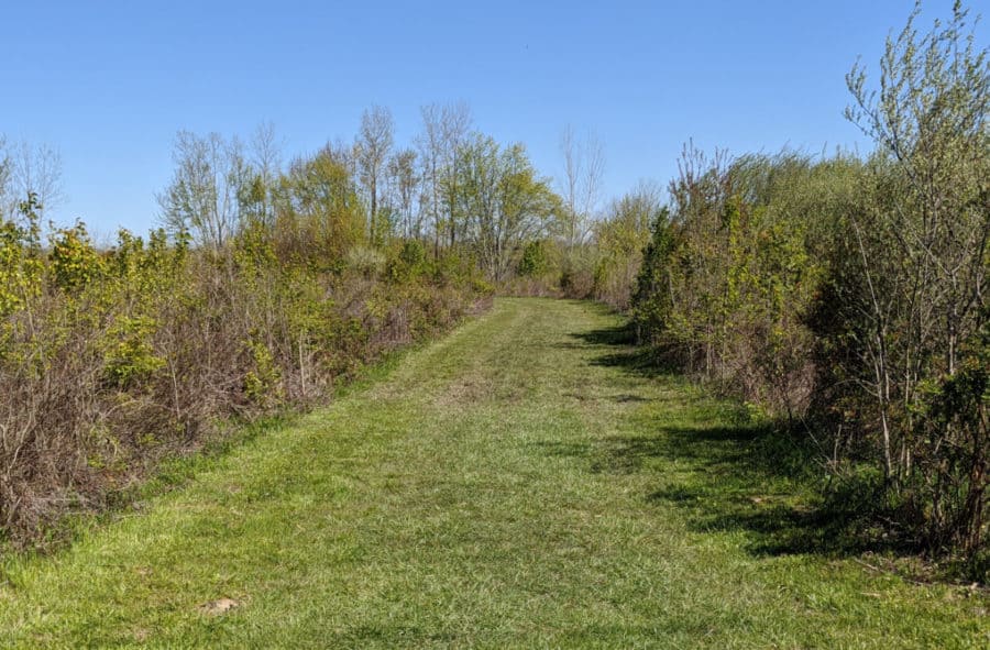 meadows at Gilmore MetroPark