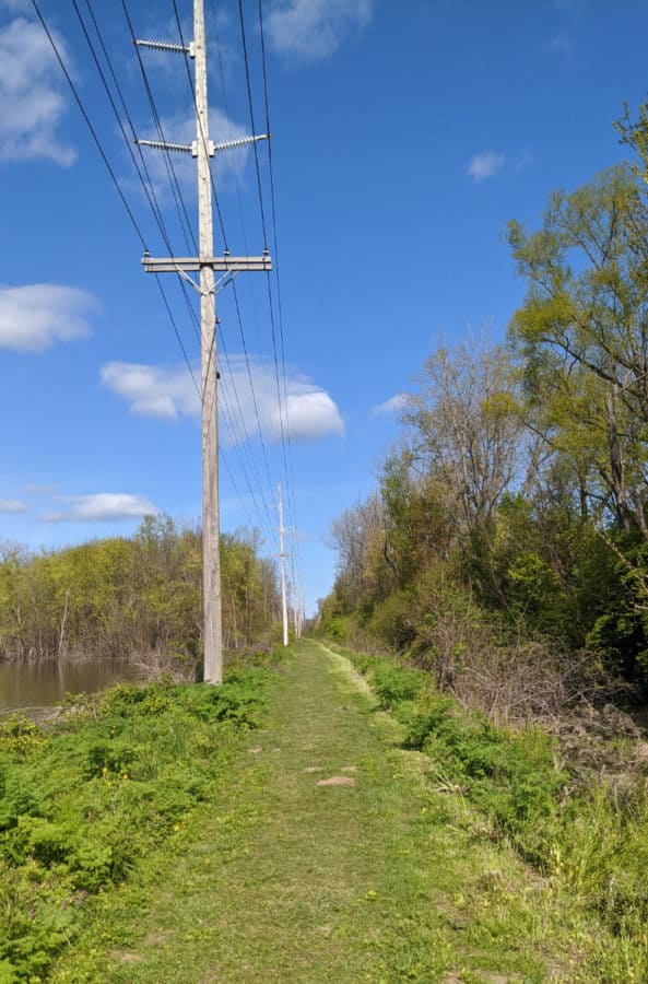 Hiking at Gilmore MetroPark