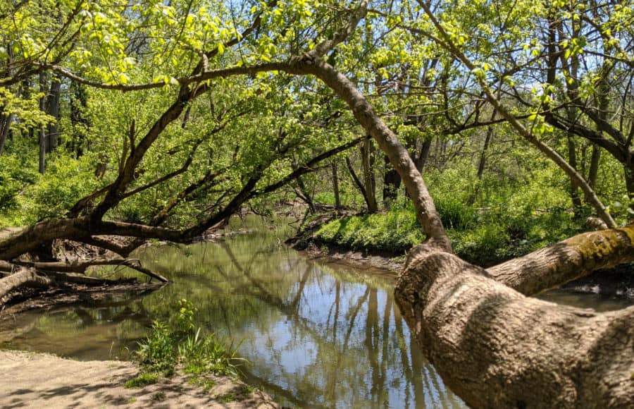 The creek on Kingfisher Trail in Winton Woods